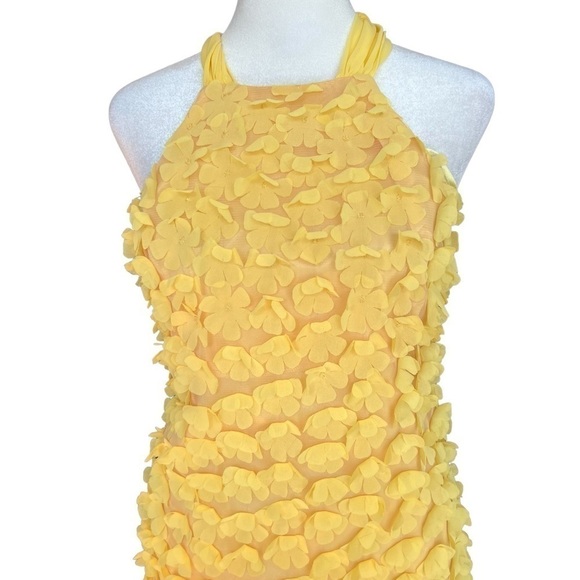 JILL STUART Flower Appliqué Chiffon Dress - Picture 4 of 7